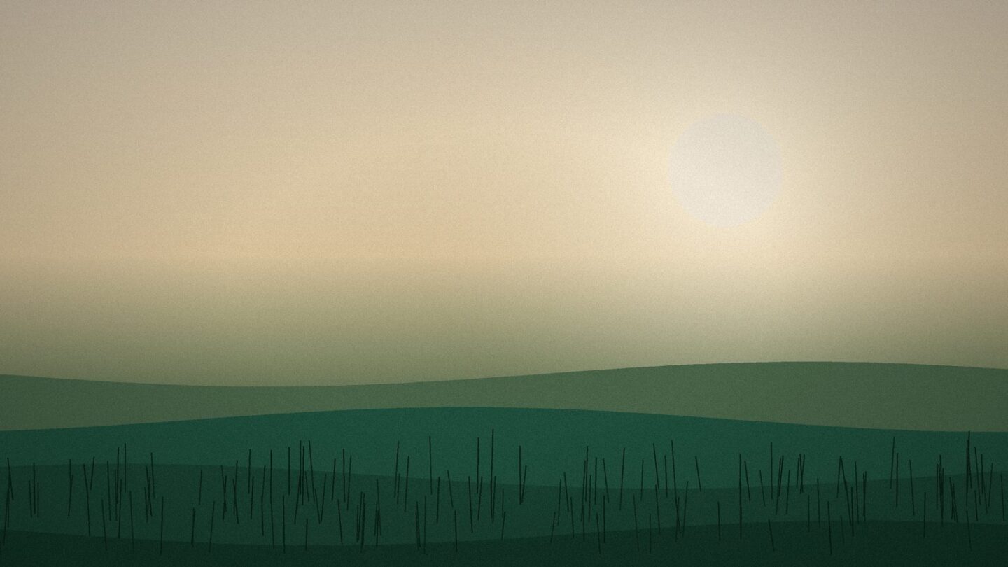 Botanical field at first light